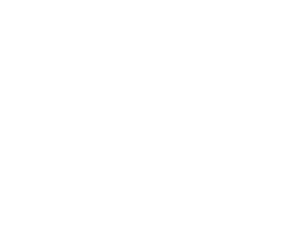 Loos Homes Footer Logo